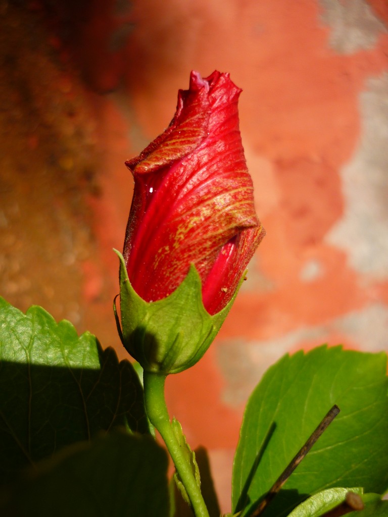 P1050333
